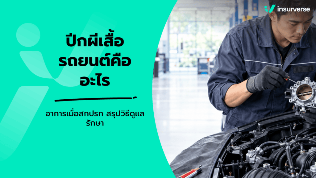 ปีกผีเสื้อรถยนต์